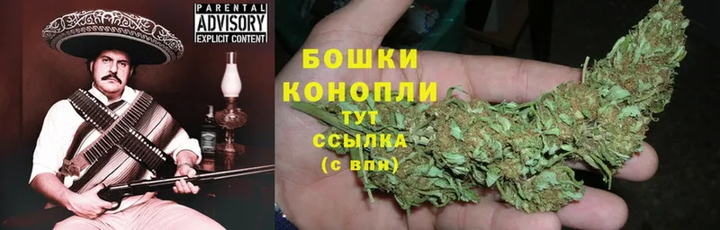 Конопля план  Онега 